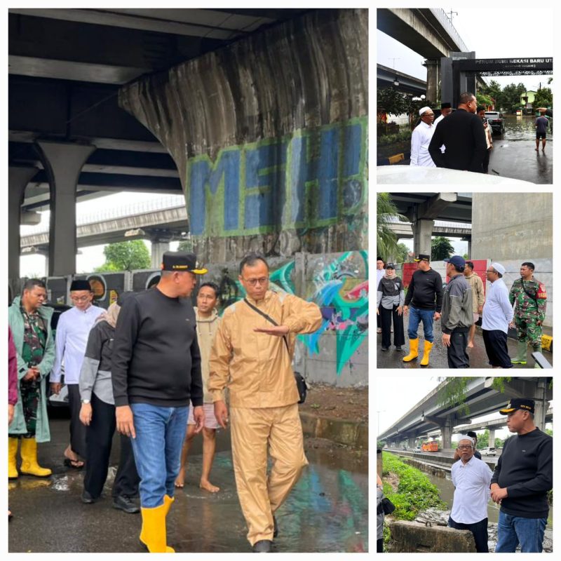 Wali Kota Bekasi, Tri Adhianto 