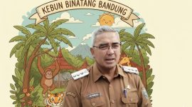 Wali Kota Bandung Muhammad Farhan 