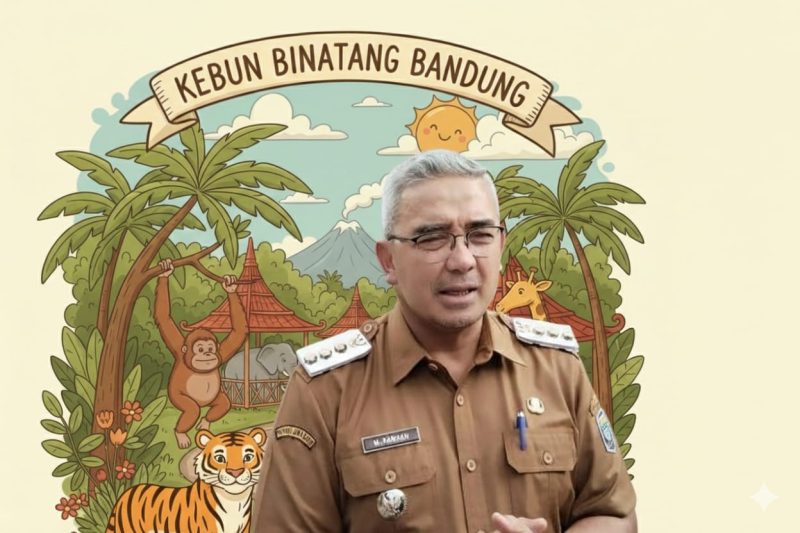 Wali Kota Bandung Muhammad Farhan 